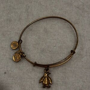 Alex and ani bangle bracelet